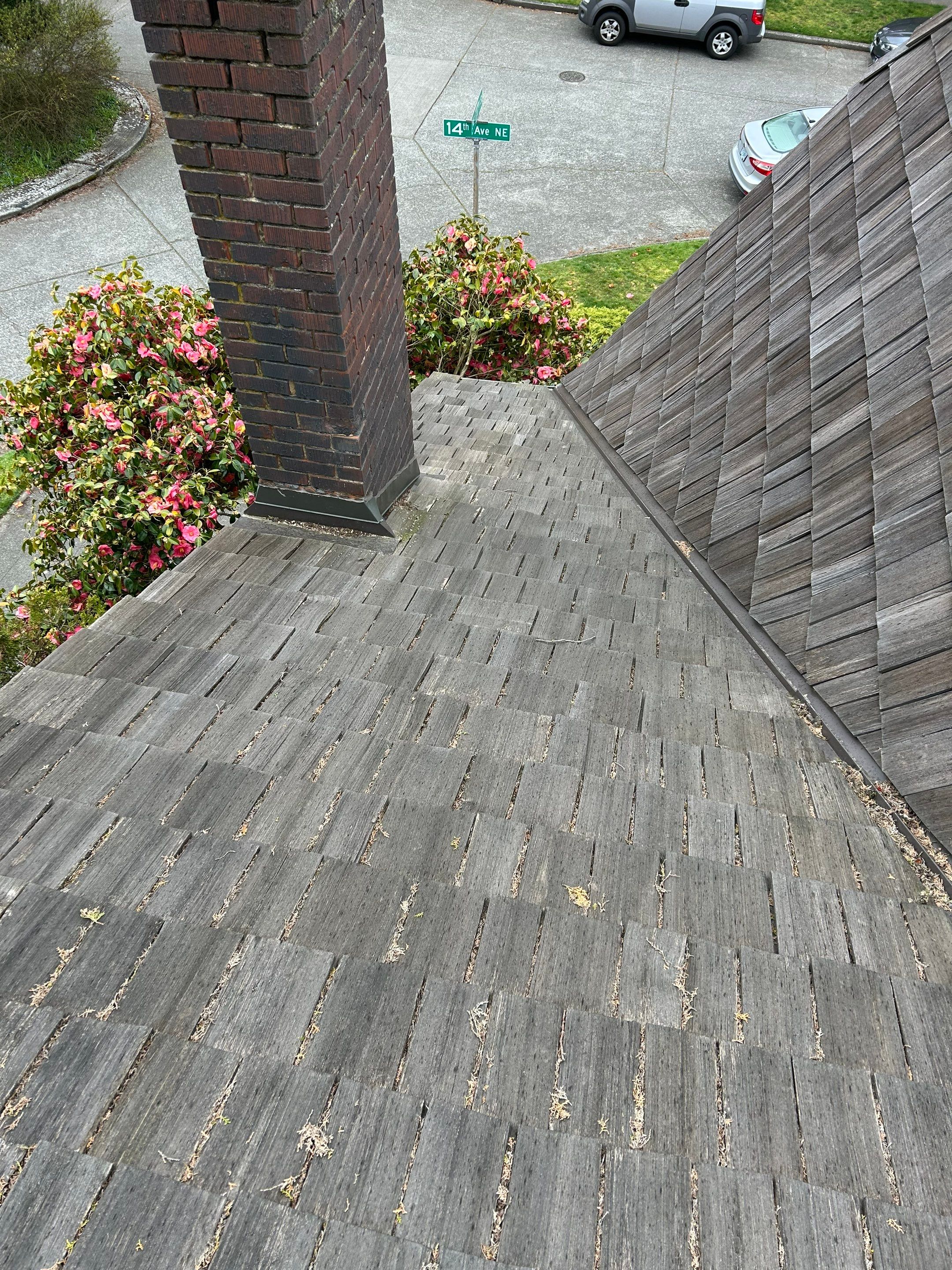 Project in Seattle by Peaks and Valleys Construction