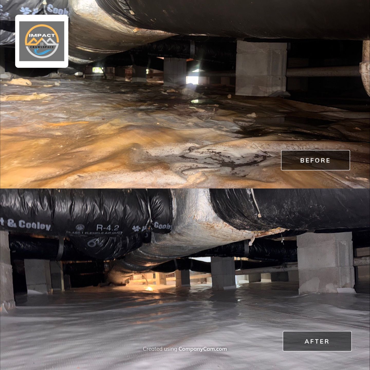 Moisture Barrier, Mold Clean, Structural Repair, Dehumidifier, R19 Insulation. by Impact Crawlspace