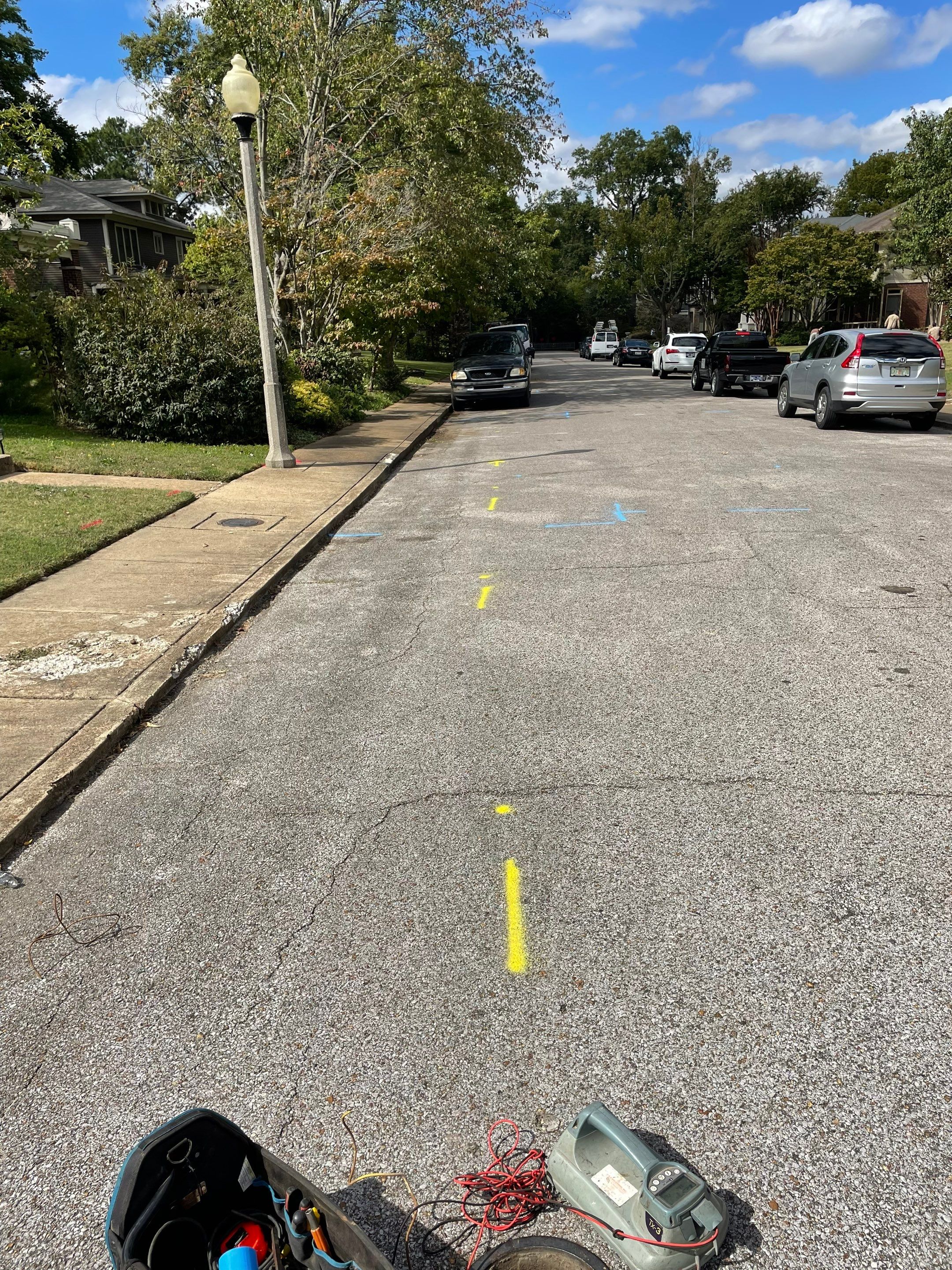Utility Locate for Survey Purposes by Alsip Locating Service, LLC