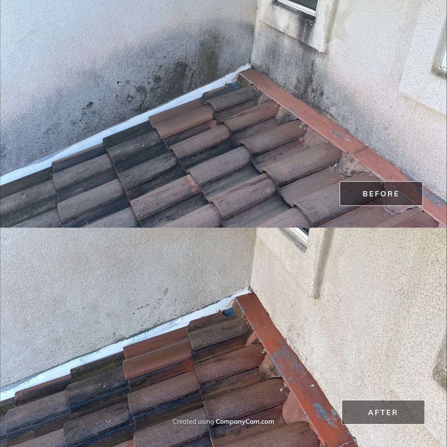 This home was COVERED in growth by Property Cleaning Experts, LLC