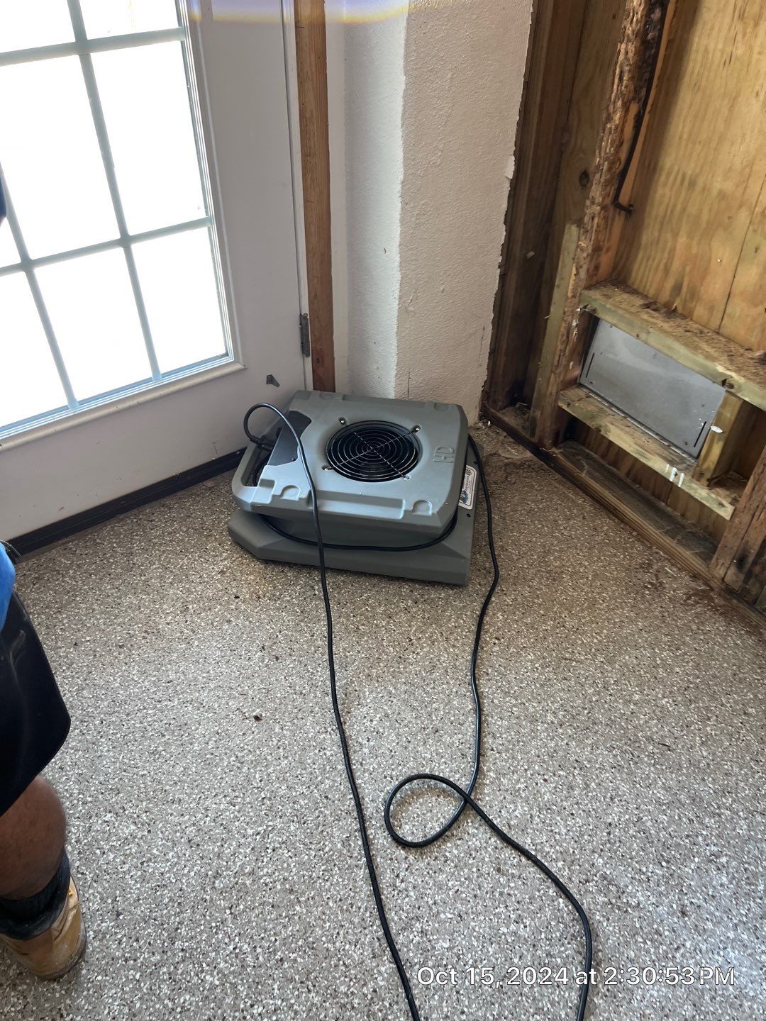 Flood Damage Mitigation In Anna Maria by Ampm Restoration Services