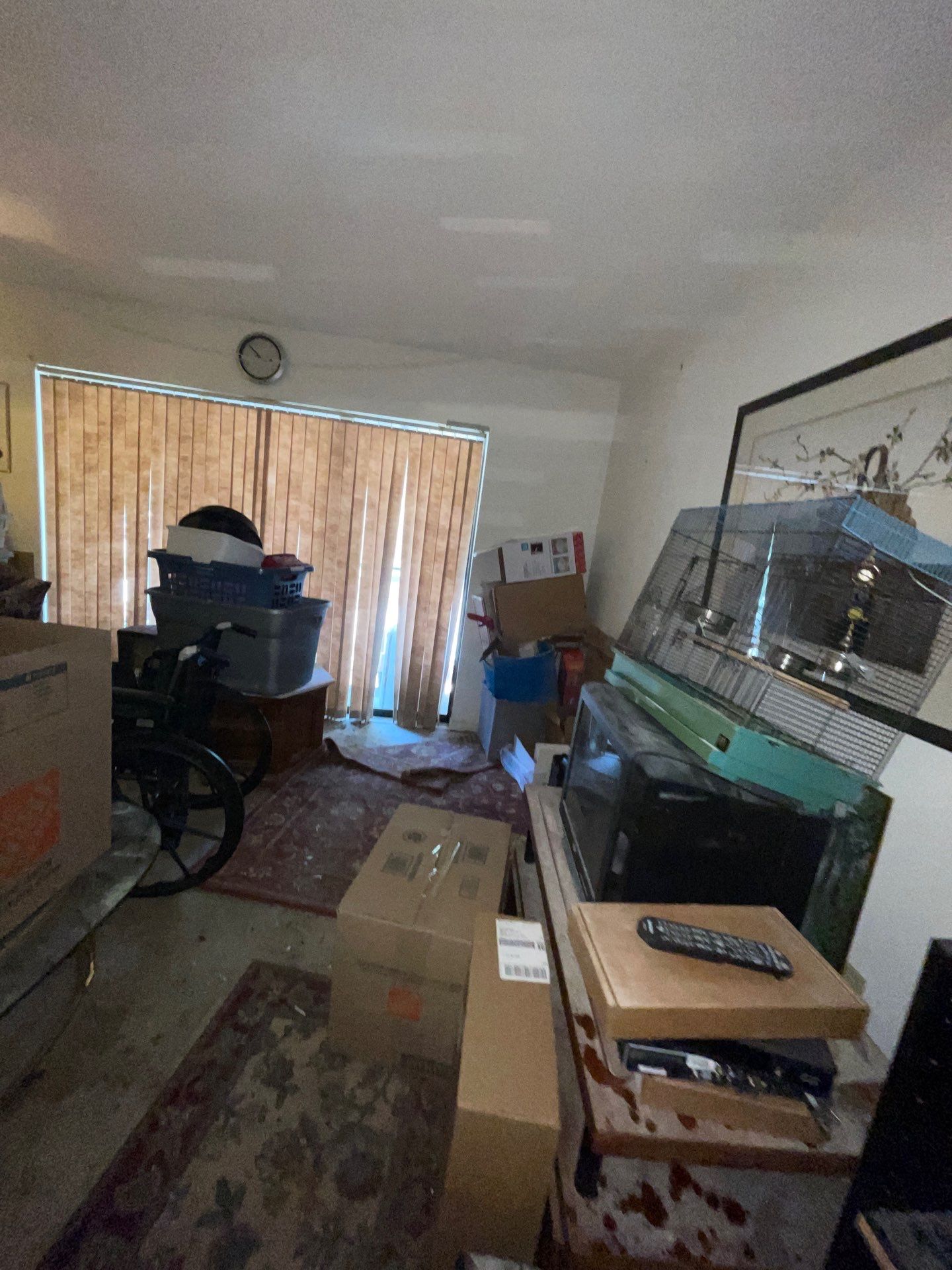 Horder house with Mold and Bacterial Contamination Issues  by Bay Coast Restoration 