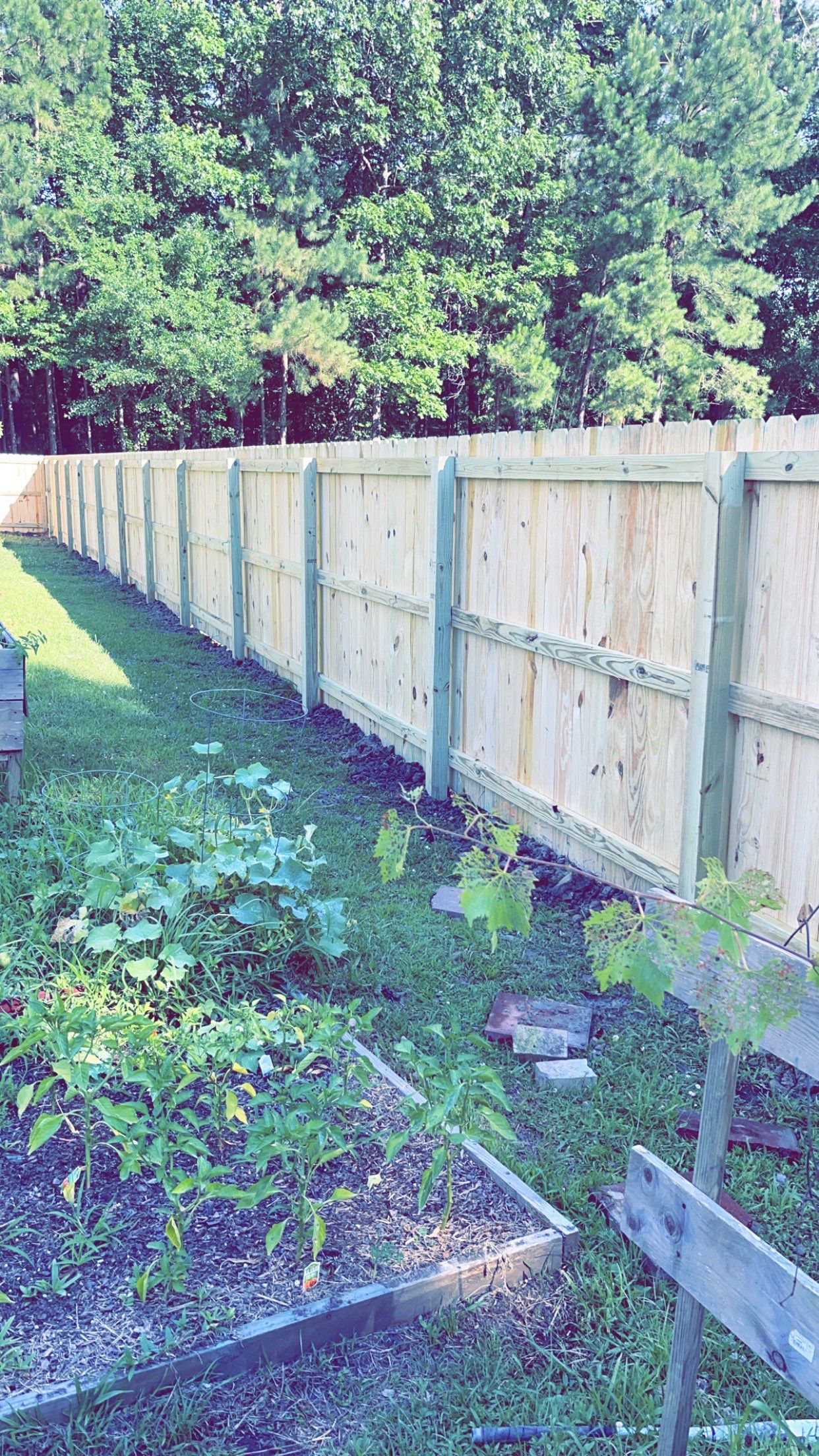 Project in New Bern by Superior Fence and Rail