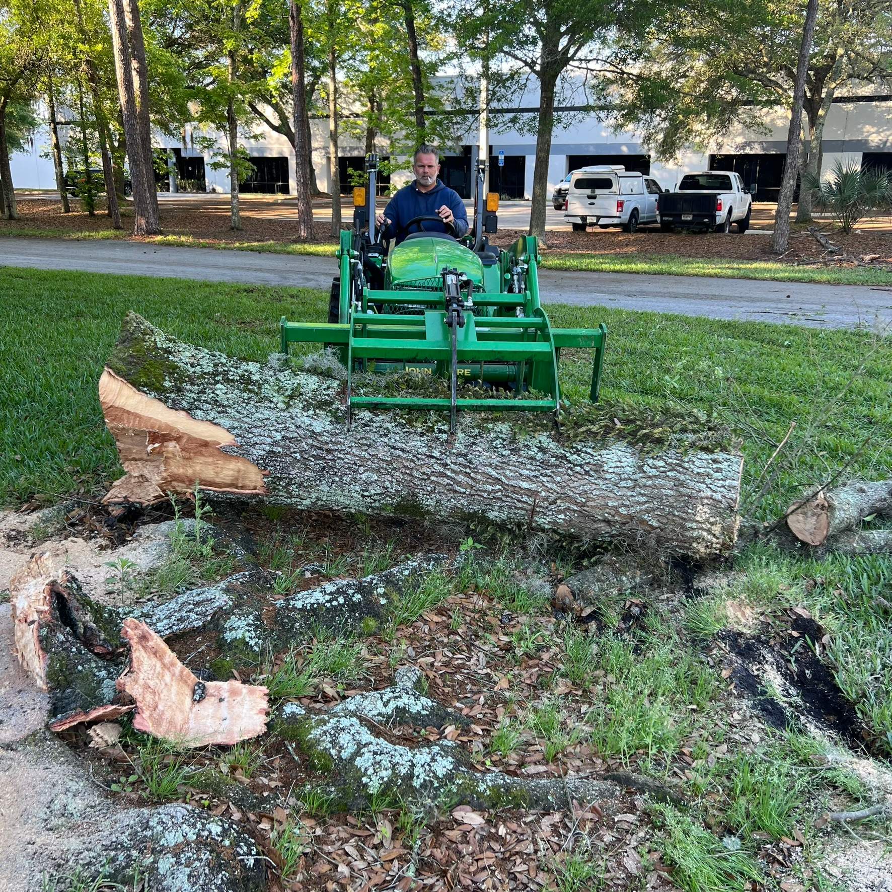 Tree Work | Autobahn Raceway by ProGreen Services