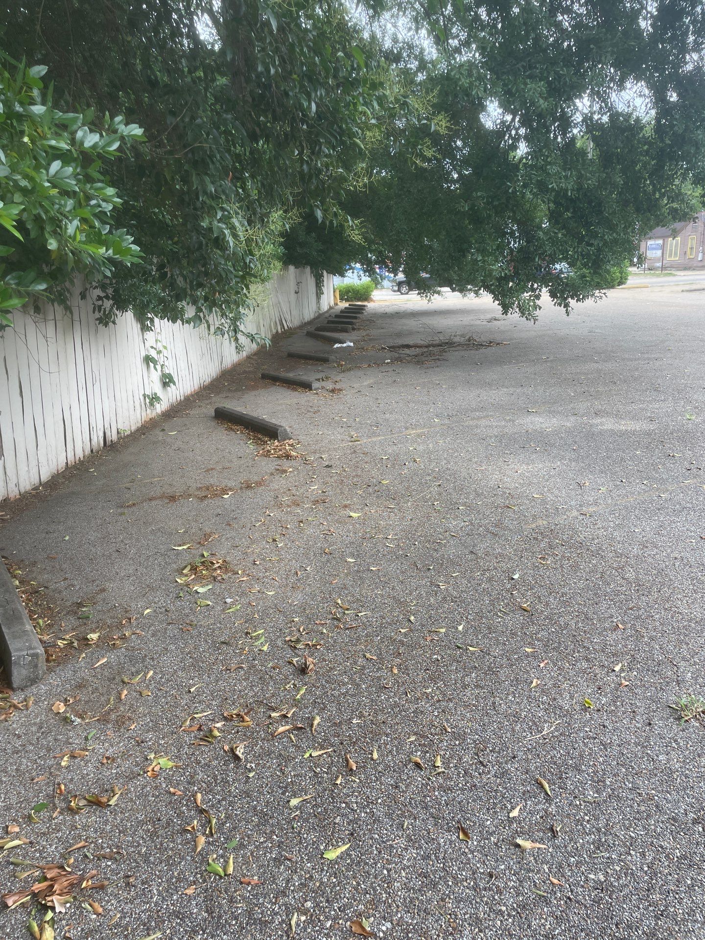 Commercial Exterior Maintenance and Lawn Care in Montgomery by BTops Landscaping Inc.