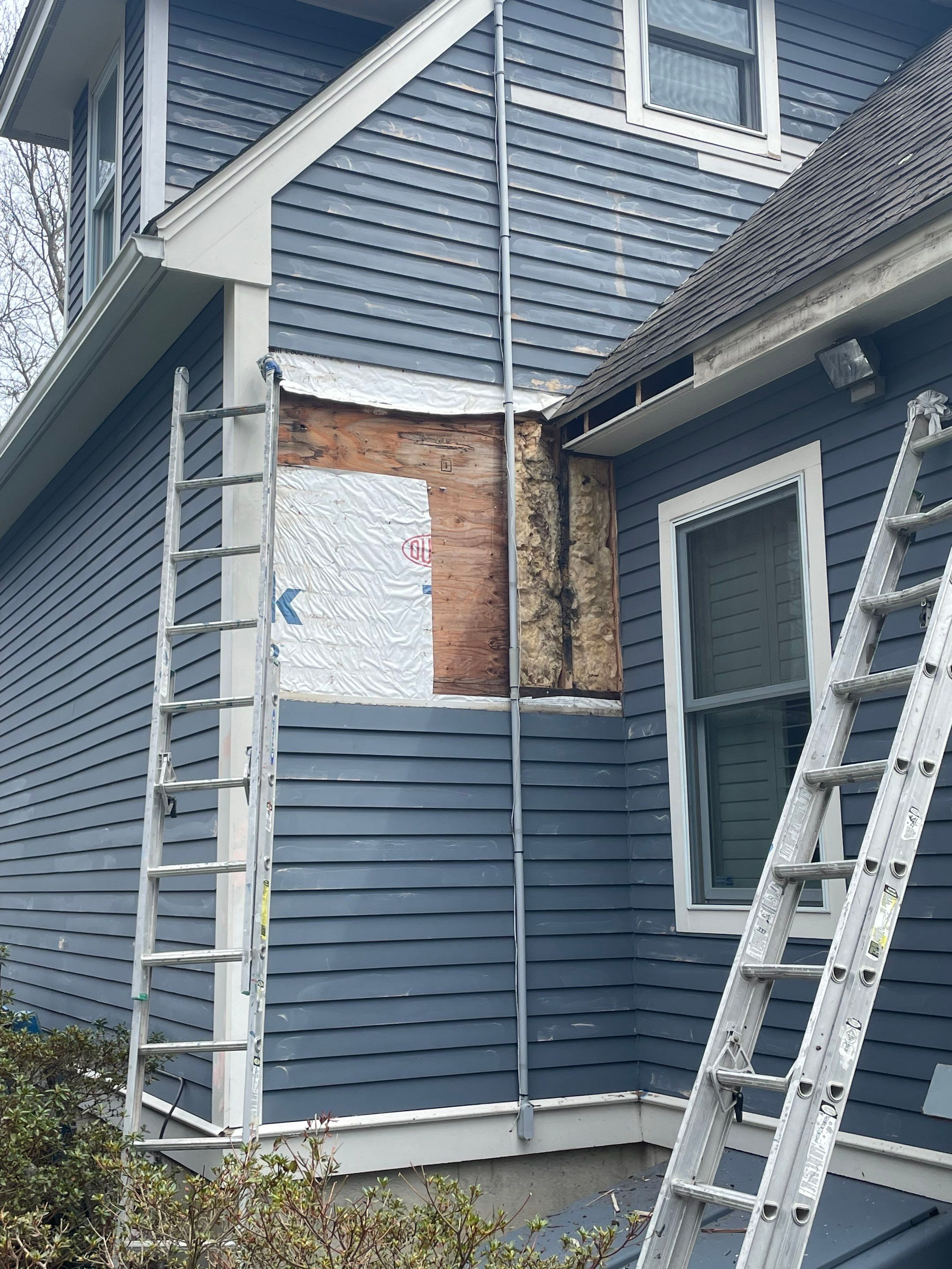 Exterior Painting & Carpentry Repairs by EXCELLENCE | CARTO