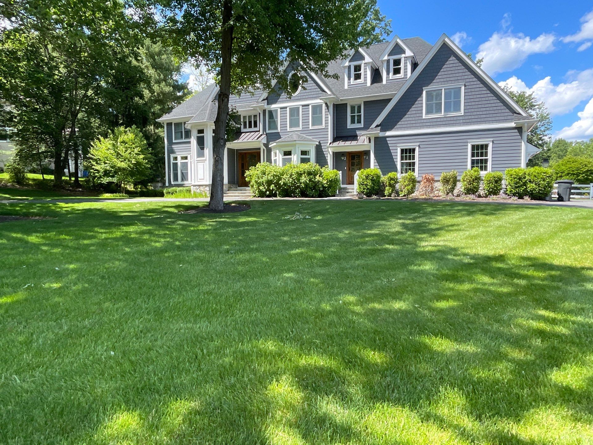 Comprehensive Lawn Care in Warren by Ants Plants