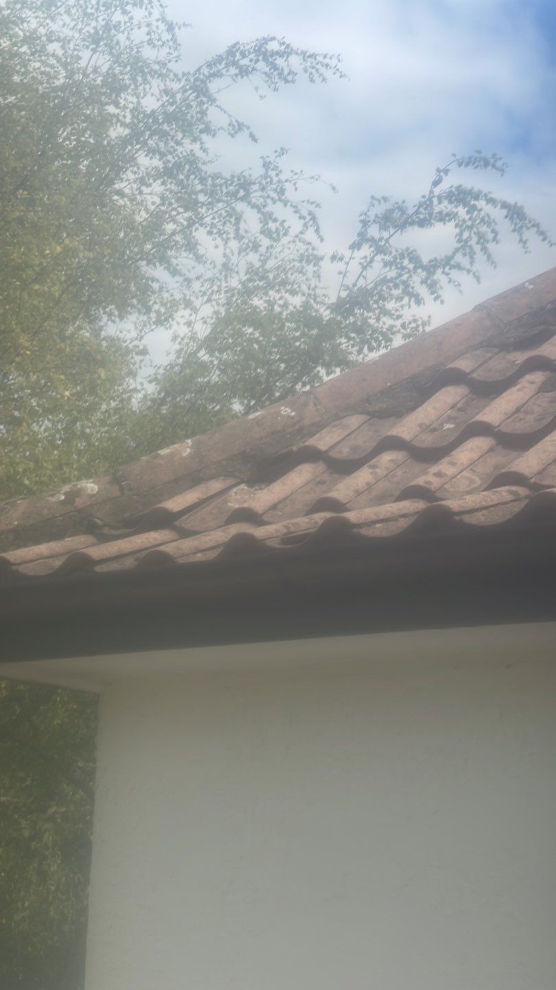 Roof Clean - Biocide Treatment using Honda 15lpm Low Pressure Washing Machine by Ges Exterior Cleaning ltd