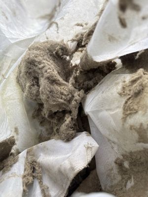 Duct Cleaning and Sanitization