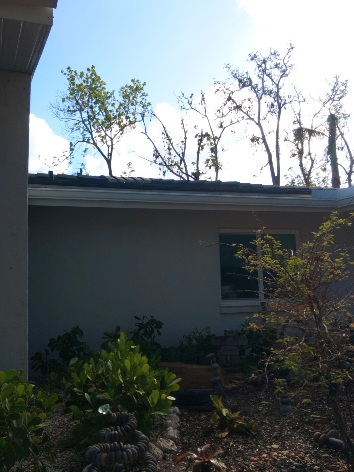 Custom Color Gutter Solutions in Sarasota FL by Gutter Professors