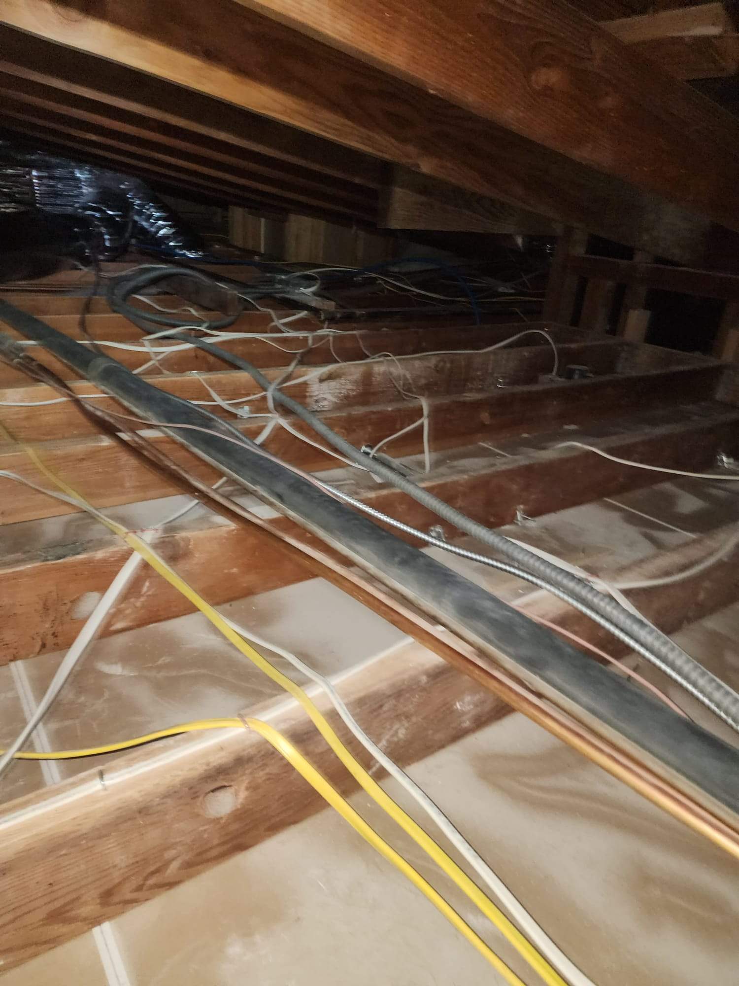 Project in Los Angeles by Advanced Attic Solutions