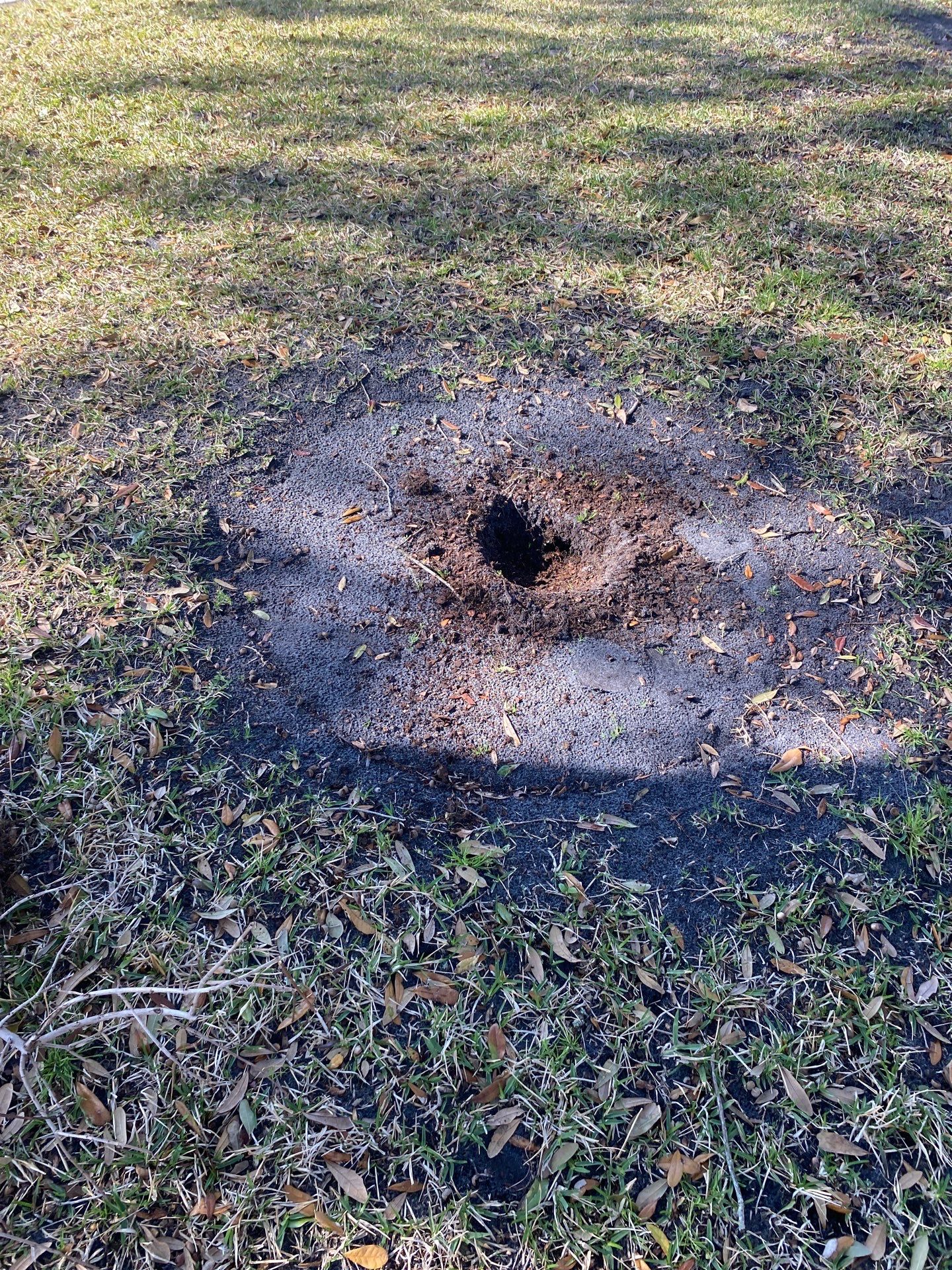 Deerwood Resident | Tree Removal & Install by ProGreen Services