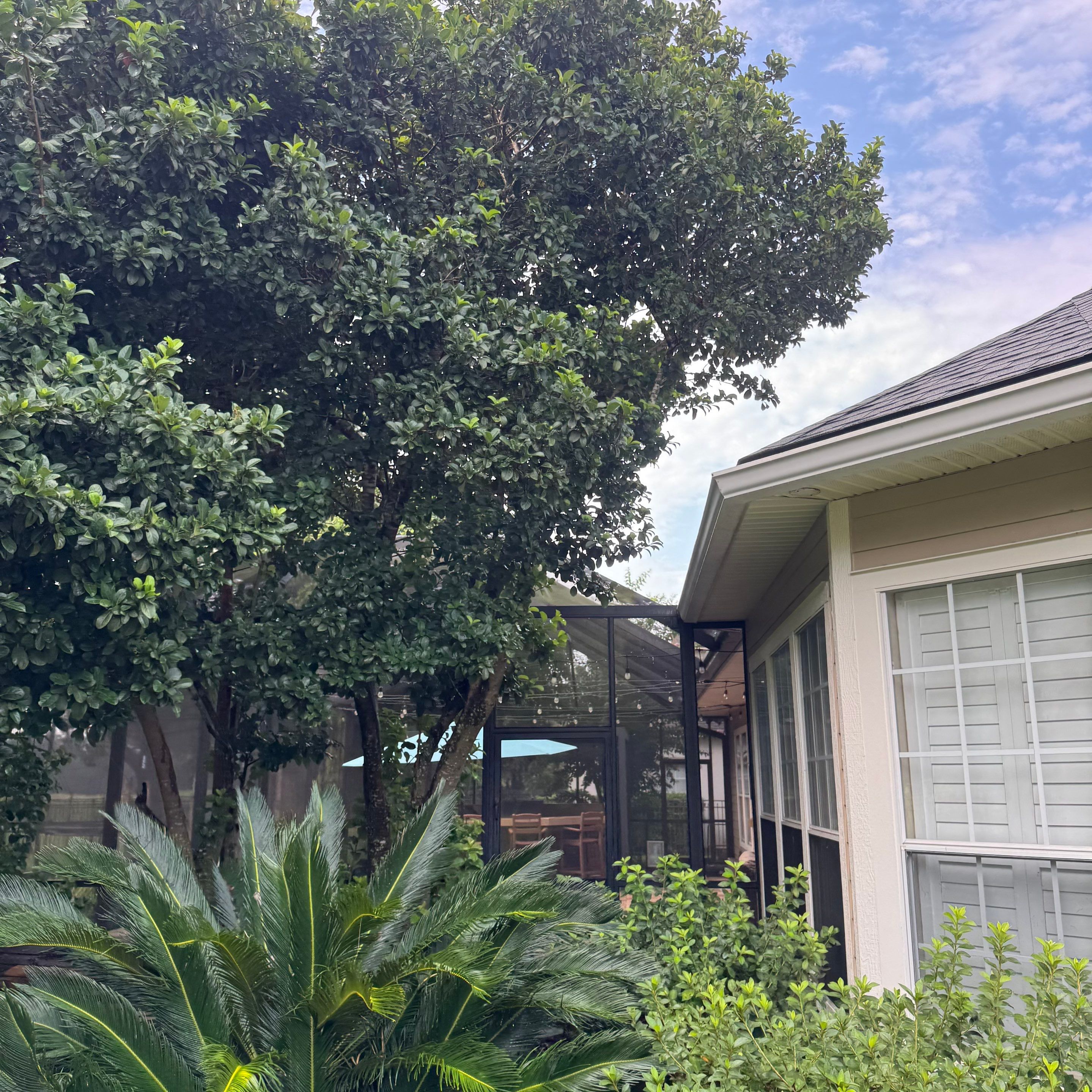 Residential | Sod Installation & Tree Trimming by ProGreen Services
