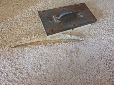 Carpet Cleaning and Stain Removal in Shingle Springs