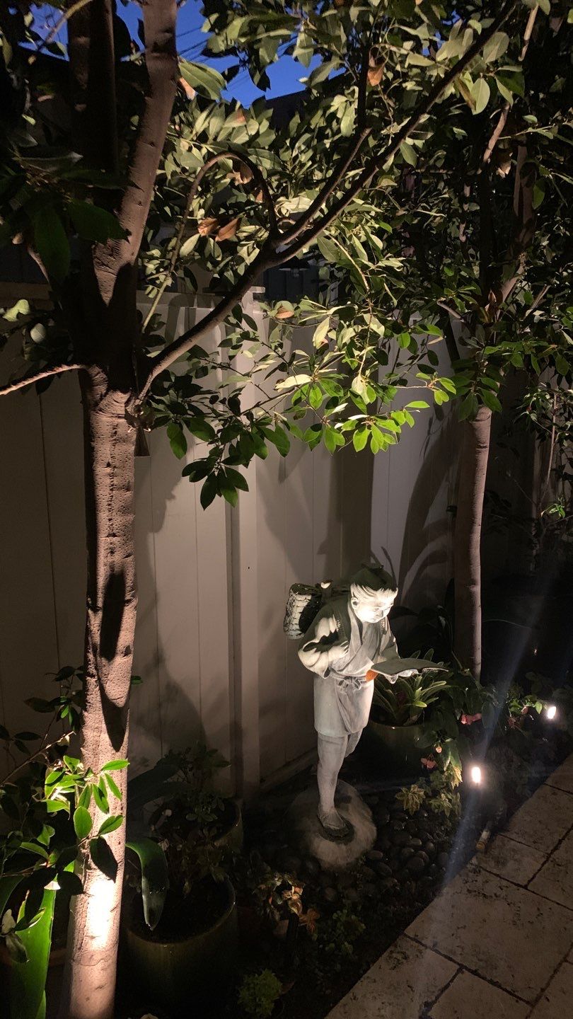 Long Beach Landscape and Architectural Lighting Revamp by Outdoor Lights + Shades