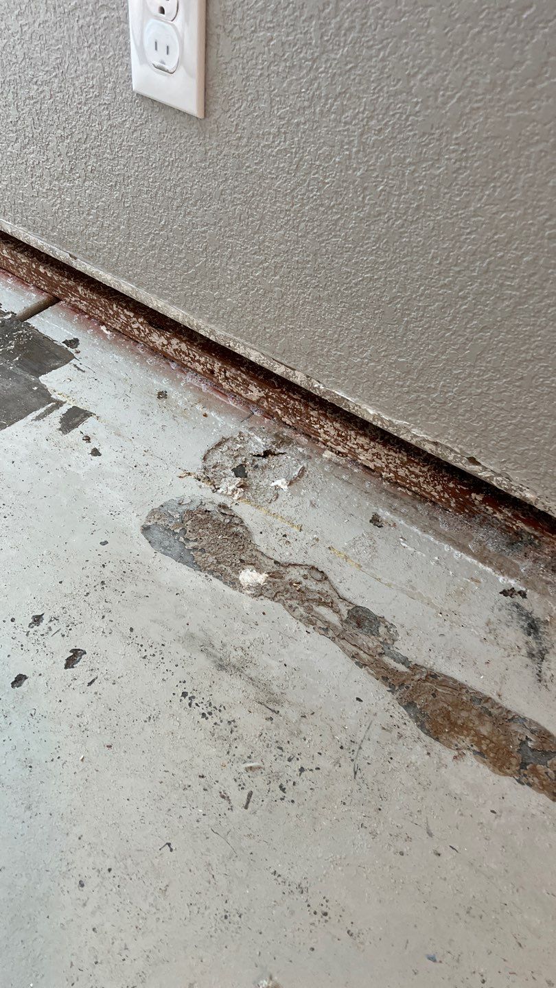 Mold Remediation  by Accountable Home Services