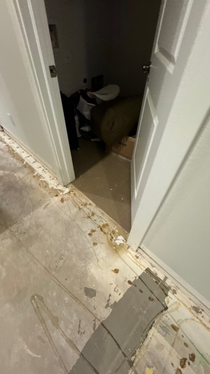 Water Damage Project in Denver by Accountable Home Services