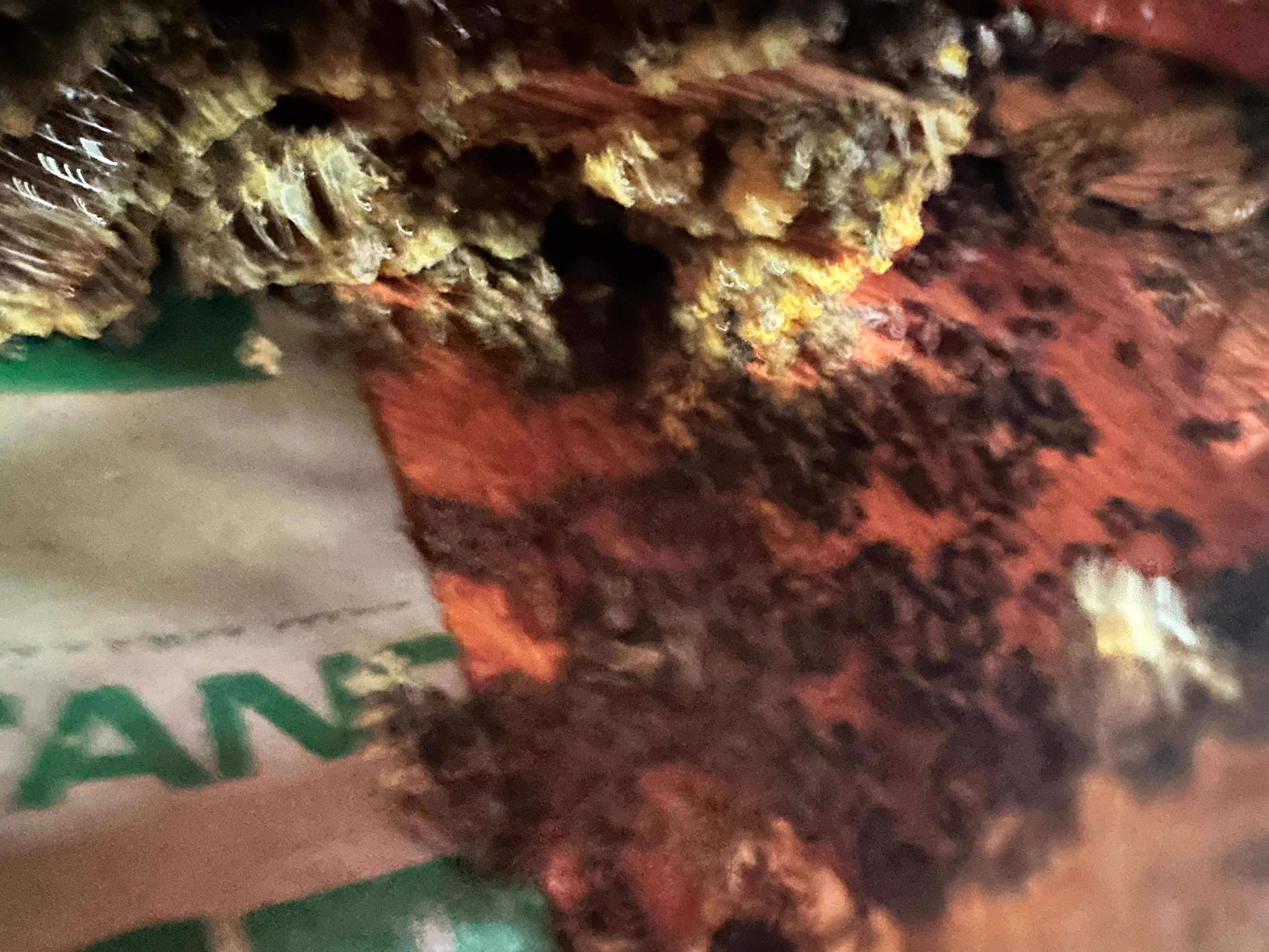 High Bees by Rockwall Honey Bee Company