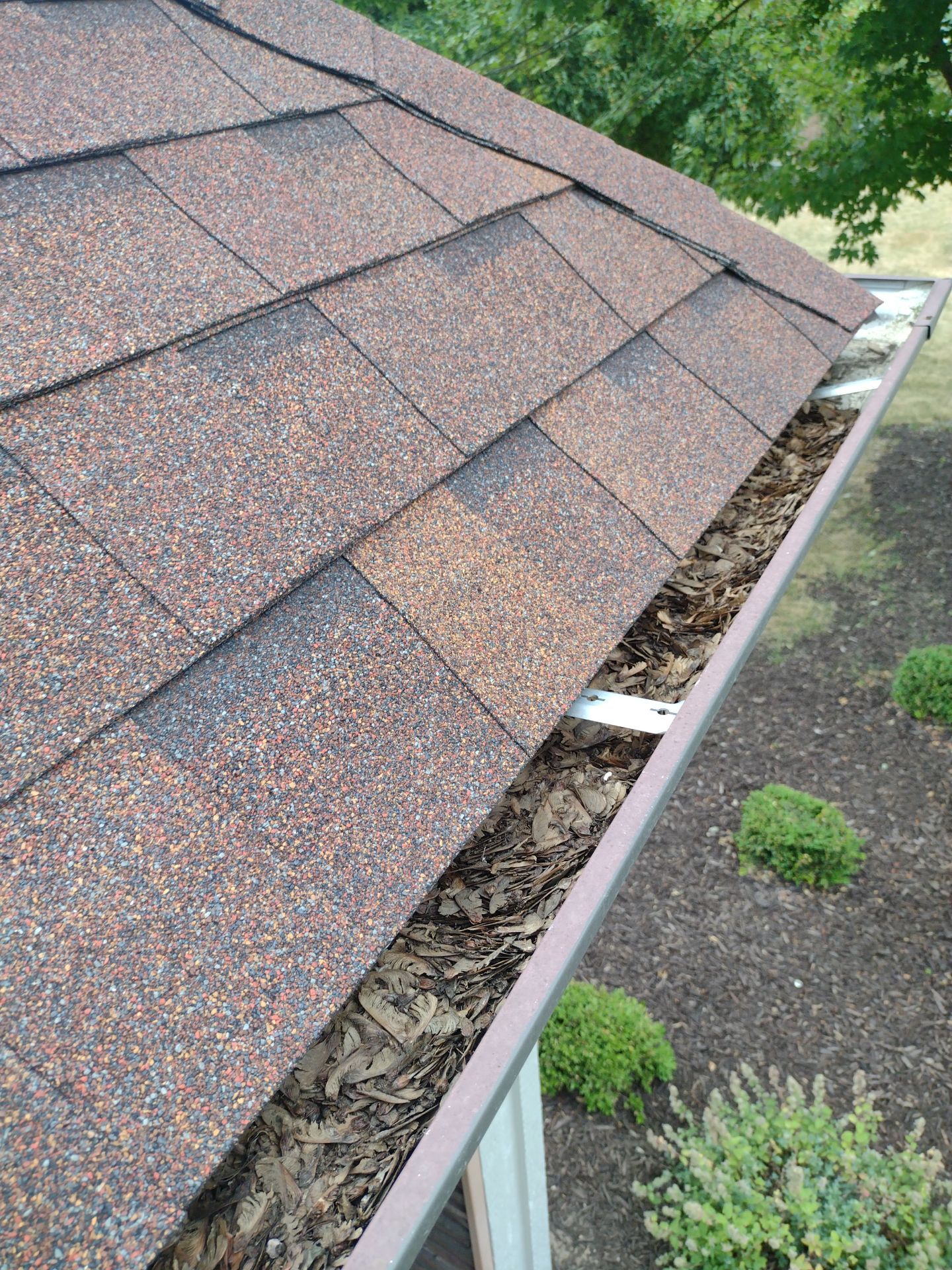 Commercial gutter cleaning Grand Rapids before photo with filled gutters