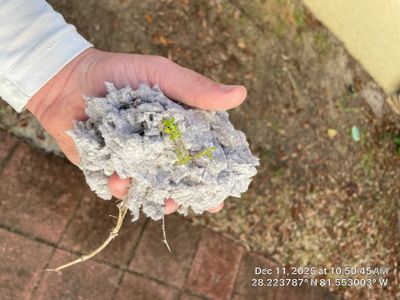 Dryer Vent Cleaning in Davenport