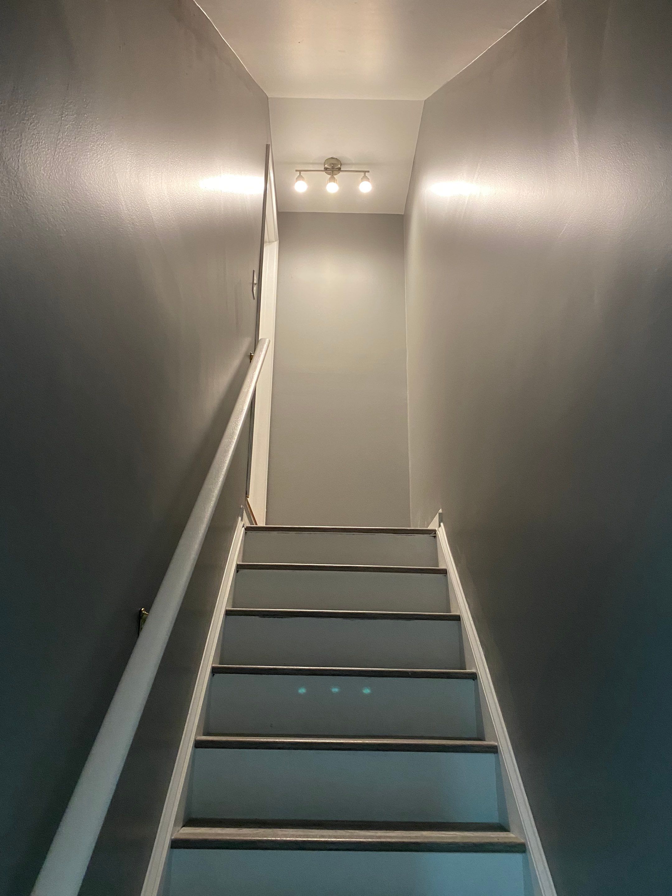 Complete Basement Buildout by The Smet Companies, LLC