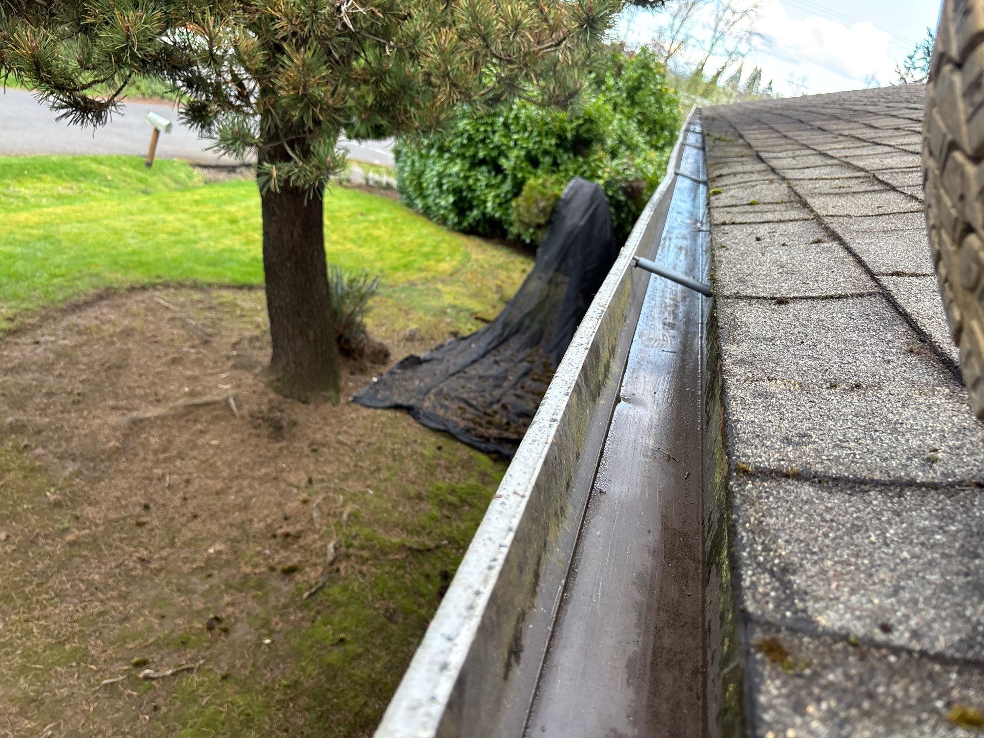 Roof Maintenance in West Linn by Prodigy Roof Solutions