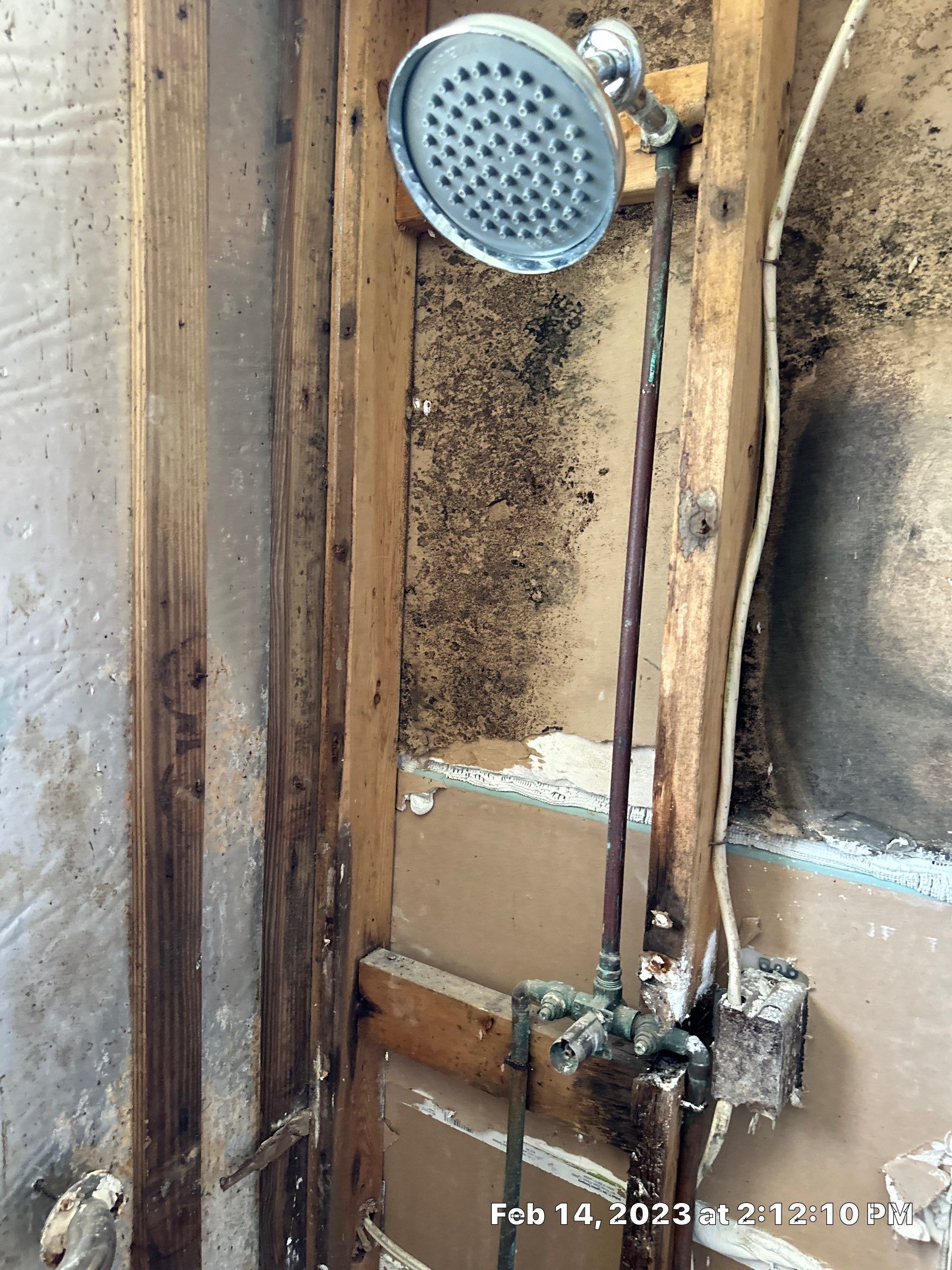 Mold Assesment by Building performance Solutions LLC