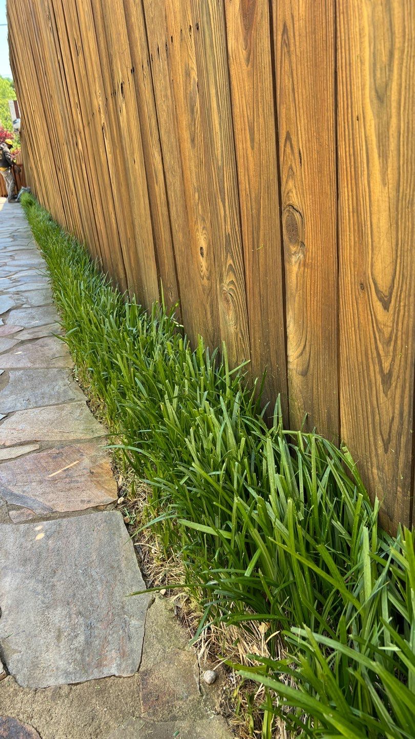 Liriope grasses, mulch and stone pavers by GrassBusters, Inc.