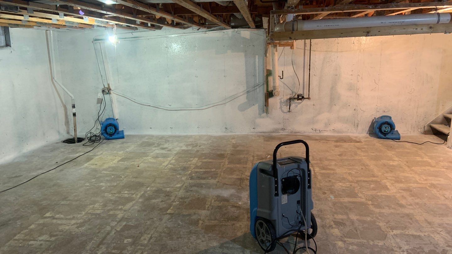 Grossly Contaminated Basement Mold by Chicagoland Water Medics