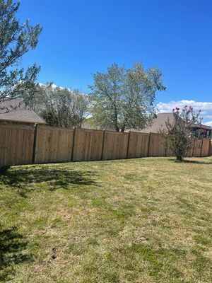 6ft Cedar Good Neighbor Fence