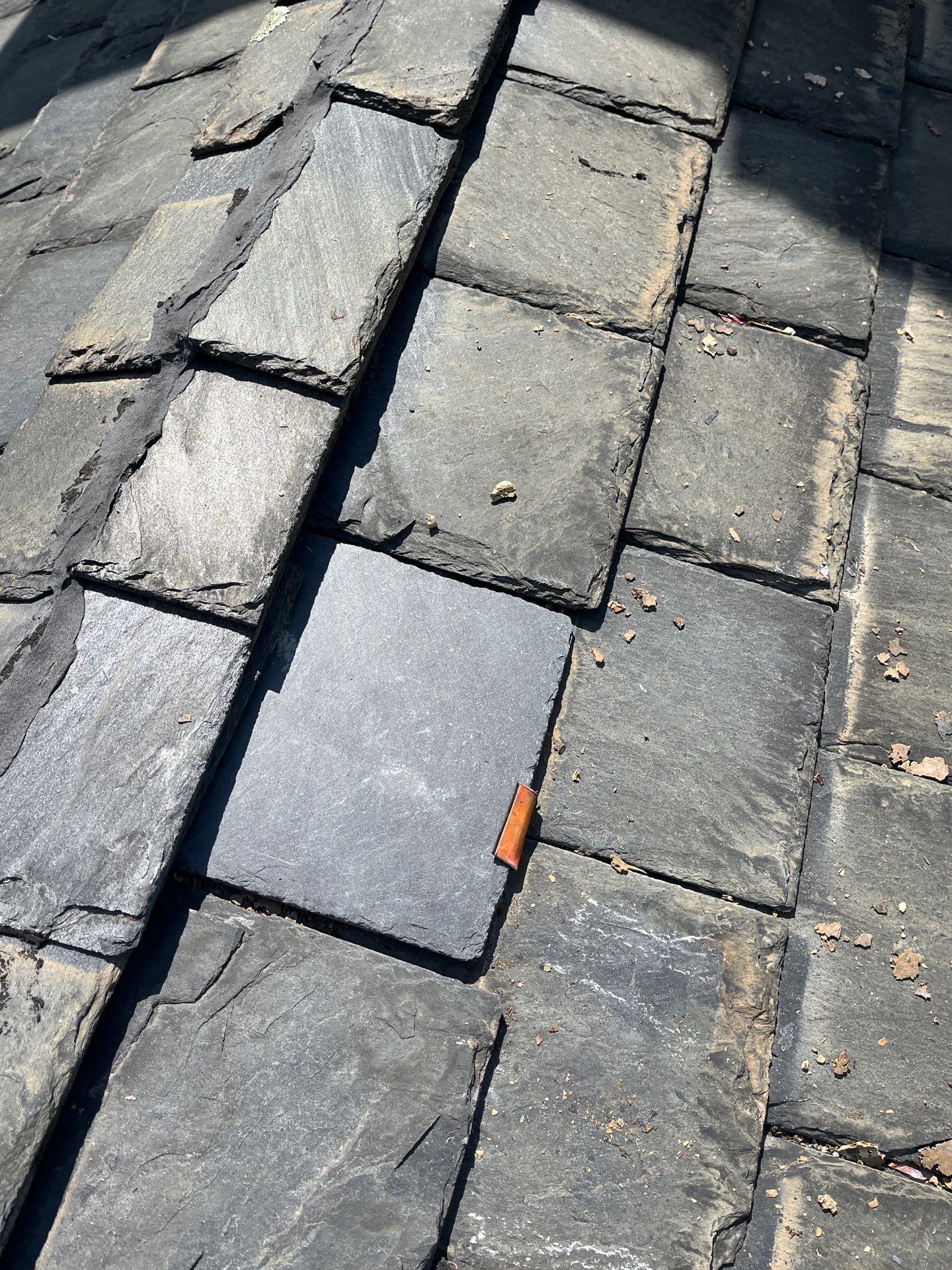 Arlington: Buckingham Slate and Carlisle Syntec TPO Roof by RM Banning, Inc.