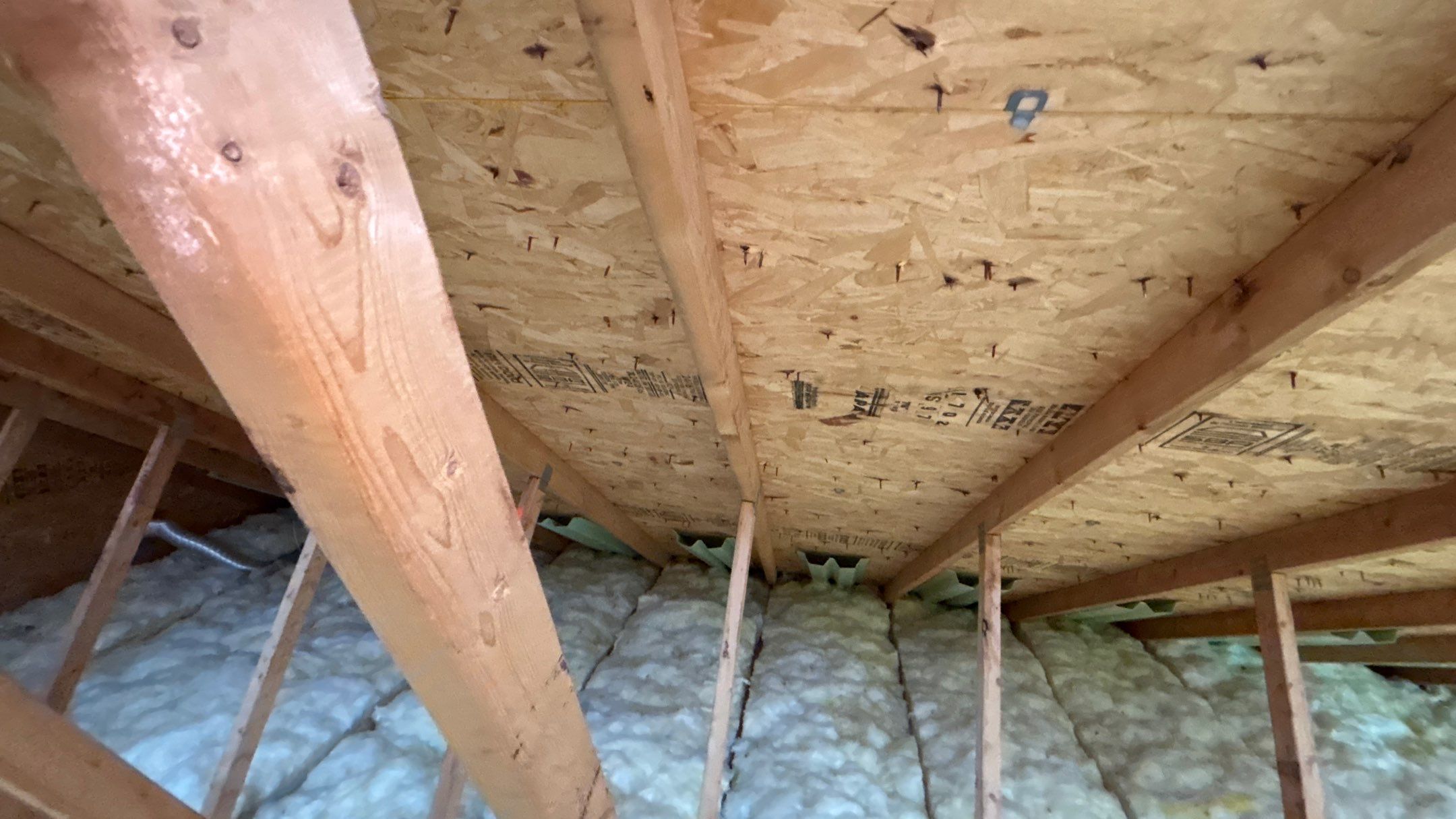 Roof Replacement using CertainTeed Landmark Max Def Shenandoah by 180 Contractors