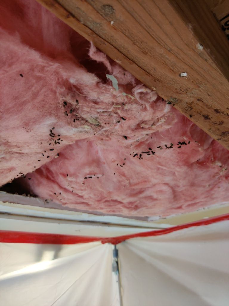 Water Damage in Garage by Accountable Home Services