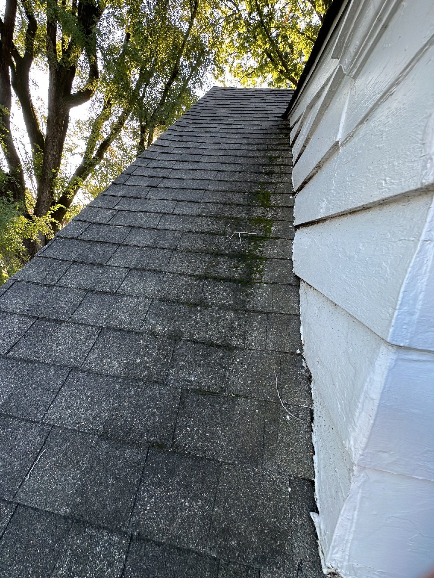 Merlot Shingles by Reimagine Roofing