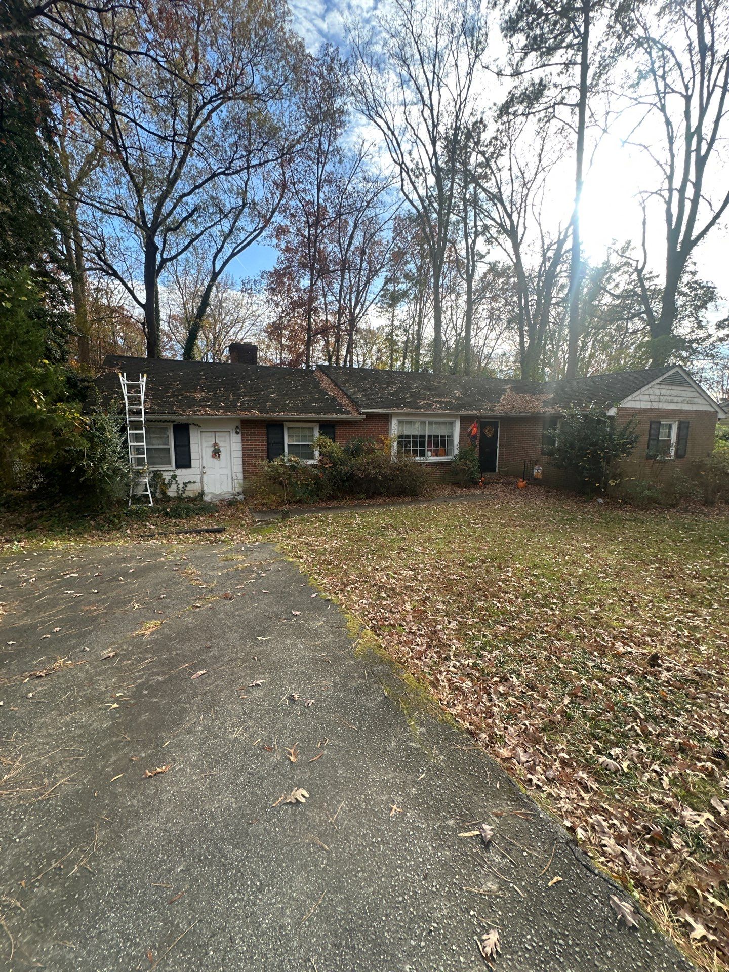 Comprehensive Roof Replacement and Fascia Repair in Richmond by Cade Construction