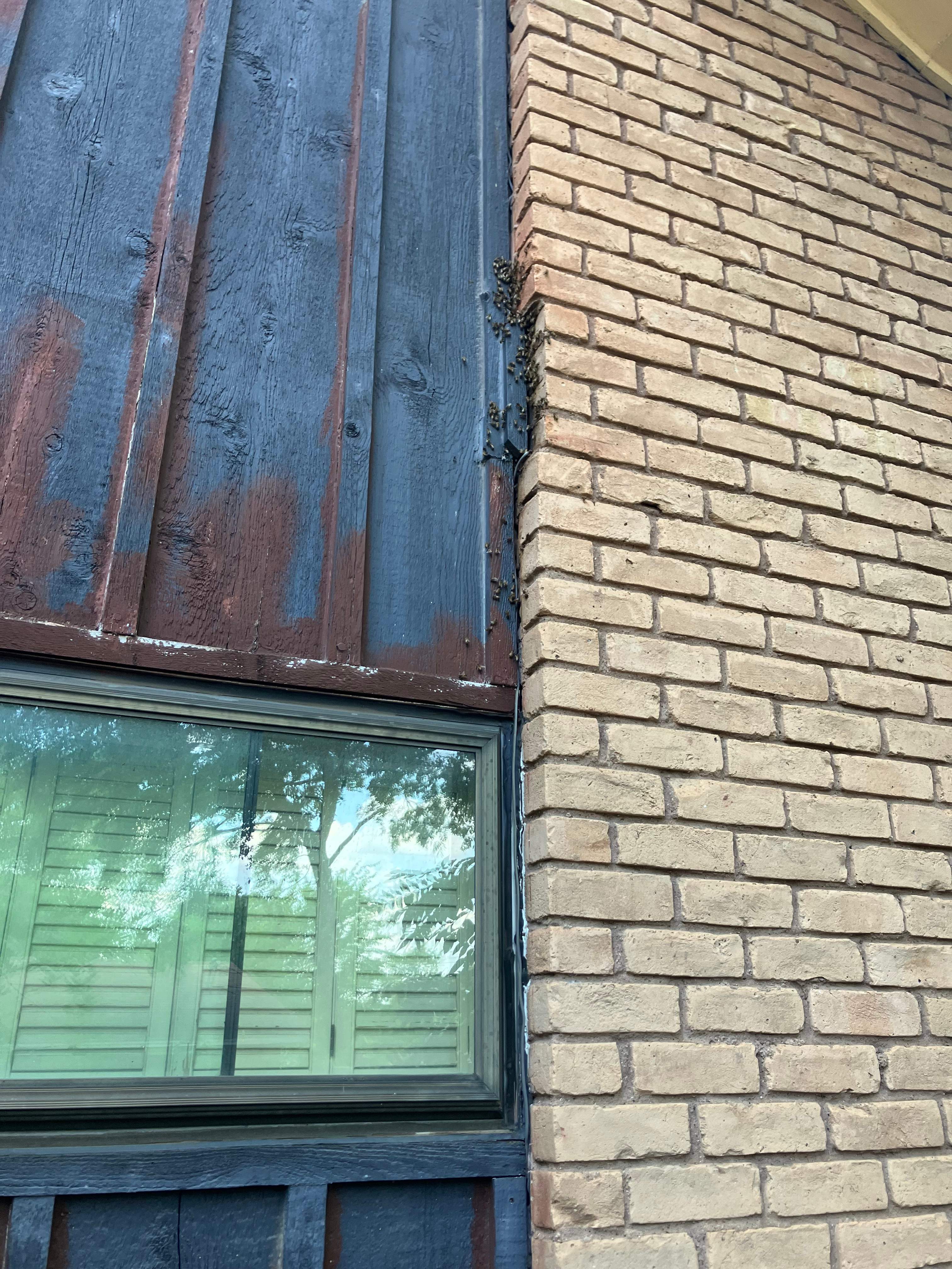 Under-foot. by Rockwall Honey Bee Company