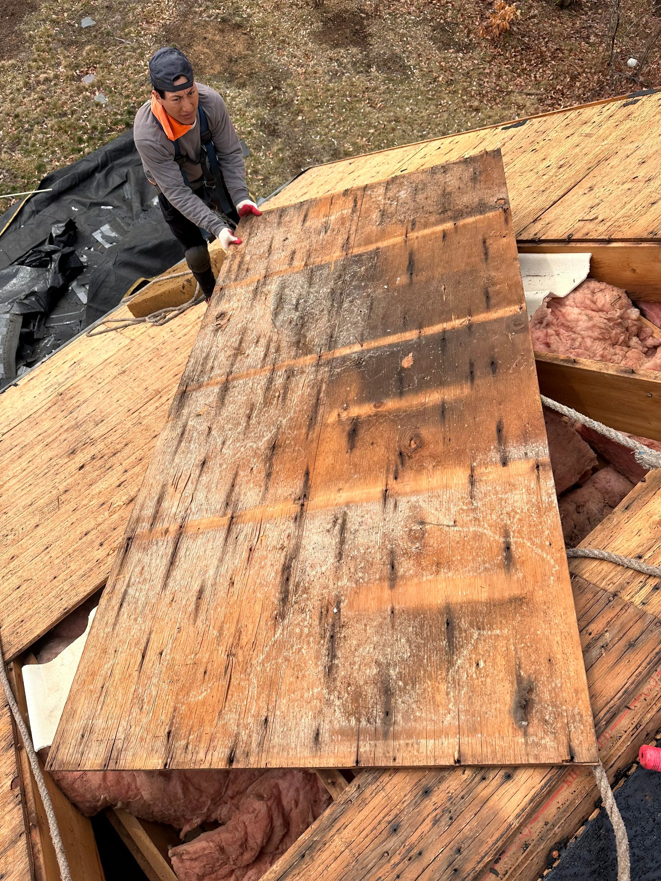 Residential Roof Replacement and IKO Cambridge Shingle Installation in Berwick by Tall pine roofing