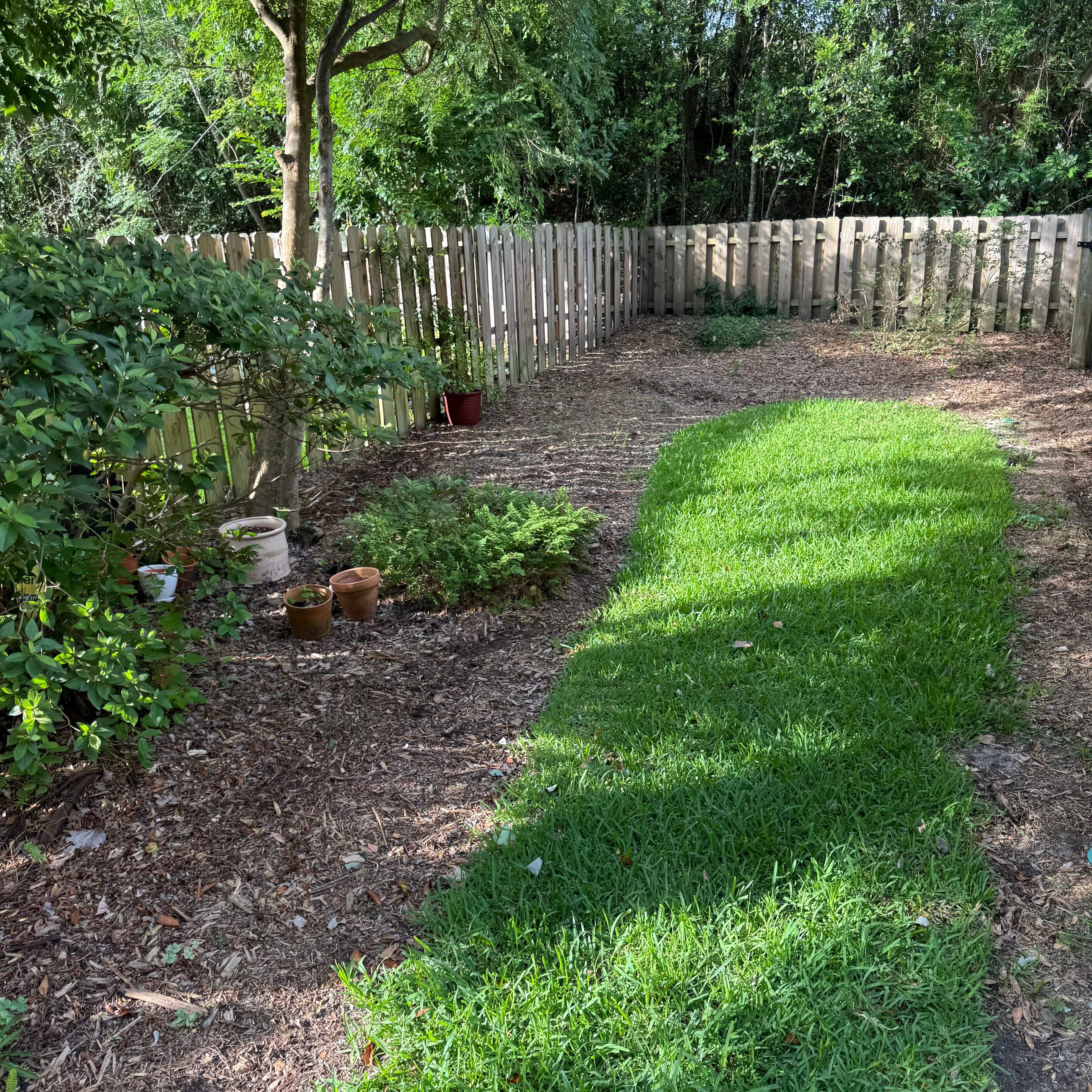 Deerwood Resident | Tree Trimming & Sod Install by ProGreen Services