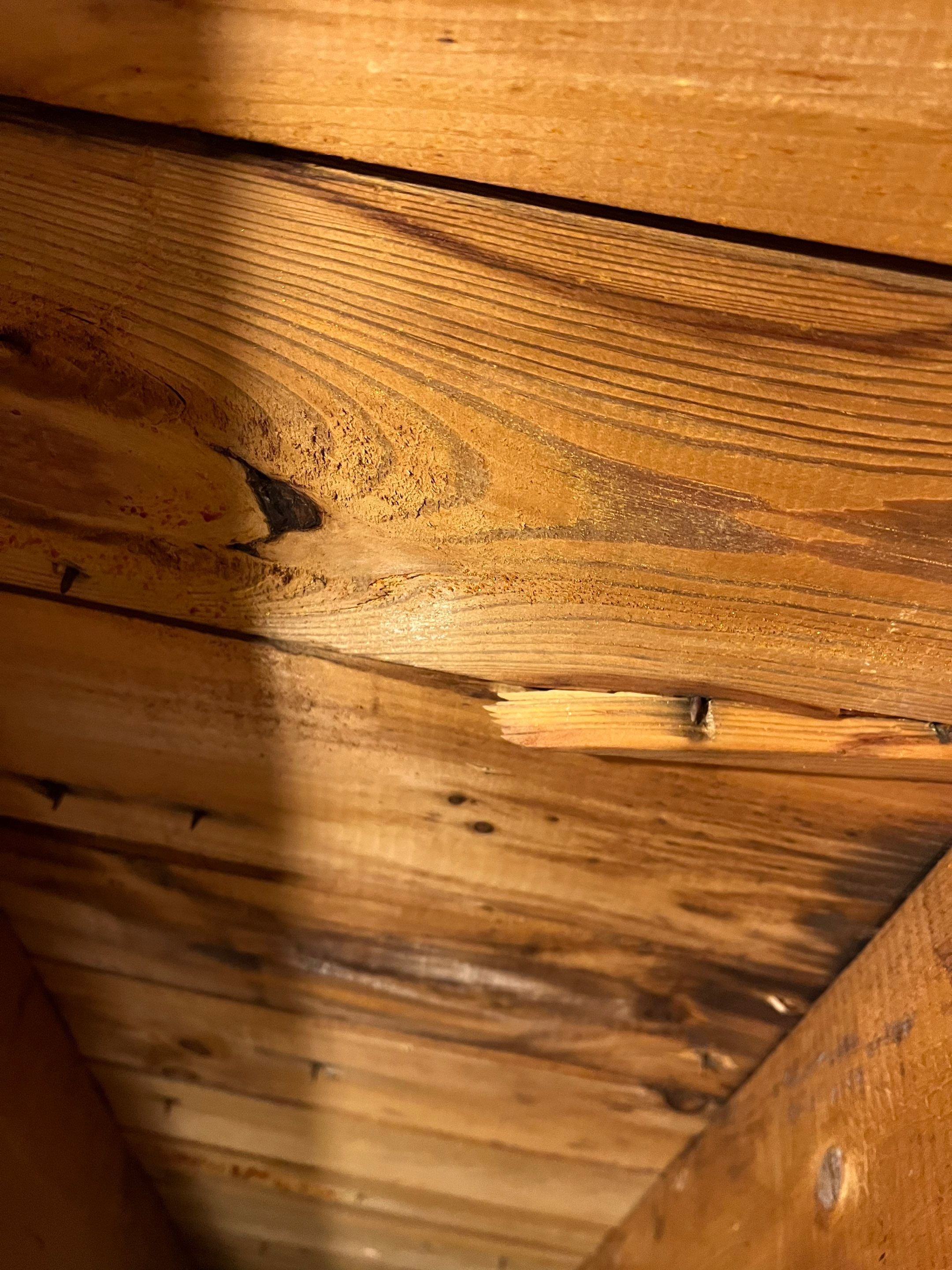 Roof Replacement | Littleton by Mighty Dog Roofing of Greater Middlesex County