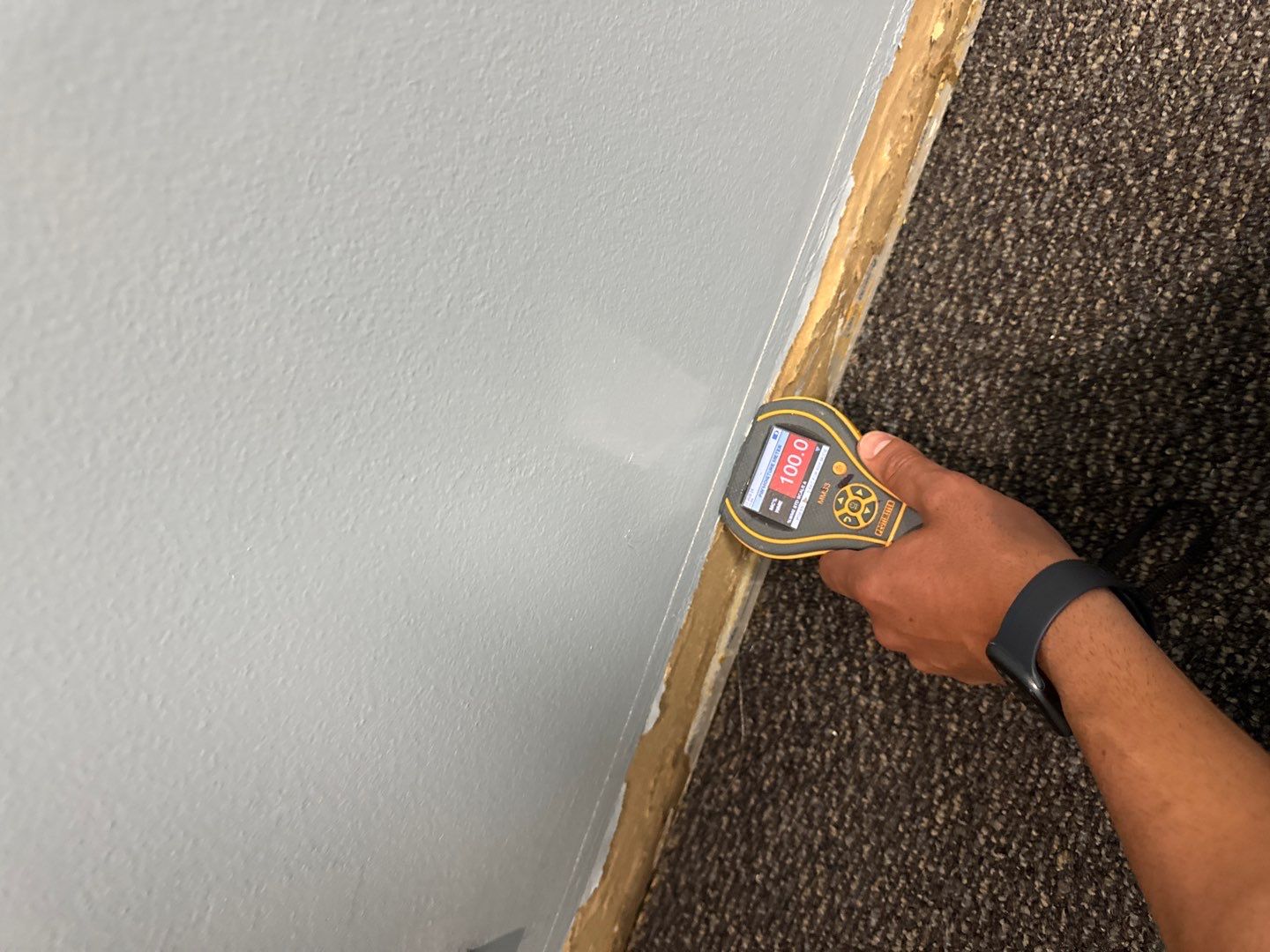 Project in Ann Arbor by EzDry Water Mitigation & Property Restoration