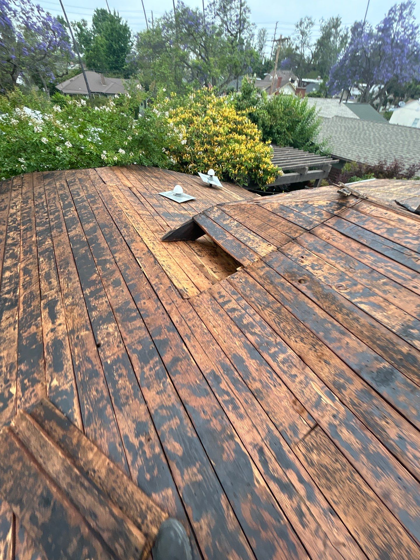 Residential Reroof Project: Composition Shingles by Hull Brothers Roofing