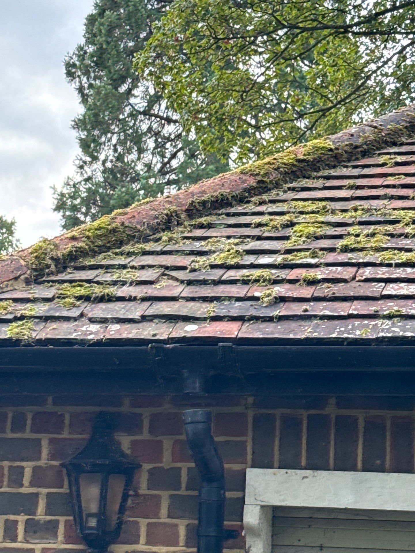 Roof - Driveway Clean -Patio Clean by Ges Exterior Cleaning ltd