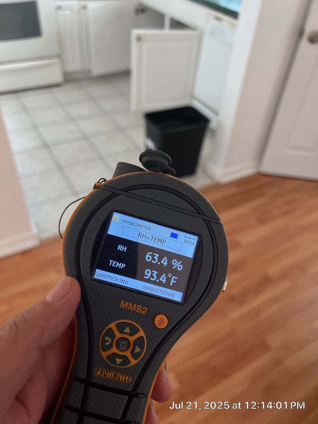 Mold Inspection & Removal by Ampm Restoration Services