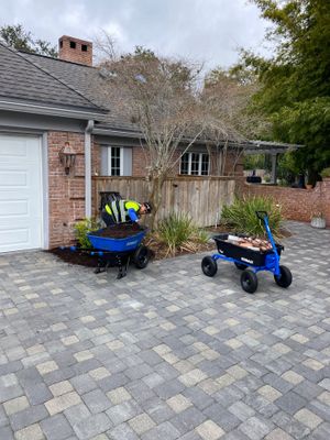 Deerwood Resident | Tree Removal & Mulch Install