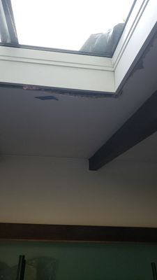 Brand: Atlas Pinnacle Color: Pristine Scotchgard Coastal Granite Drip: White