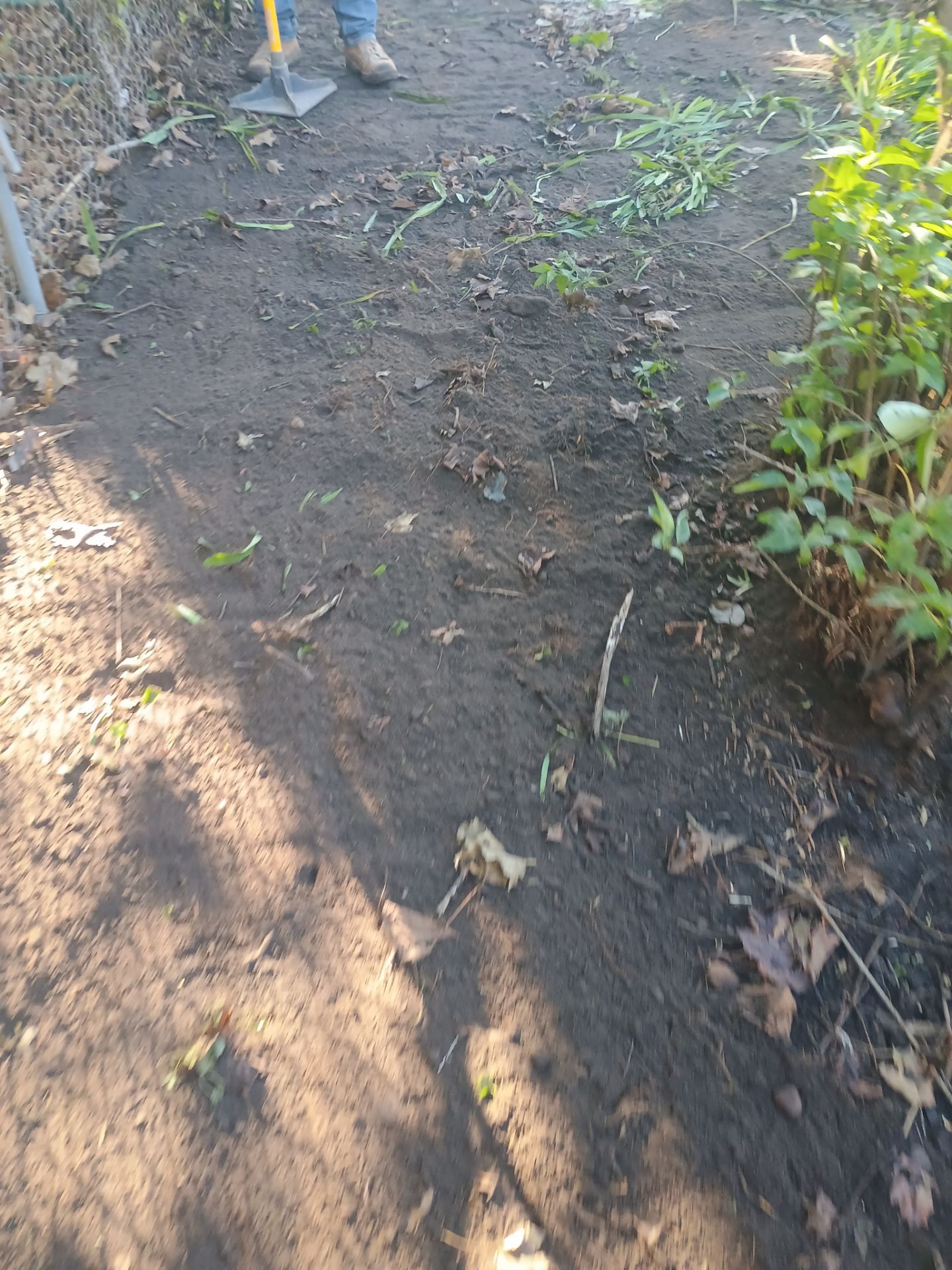 A French Drain for Jeniffer by Waterproofing Northeast