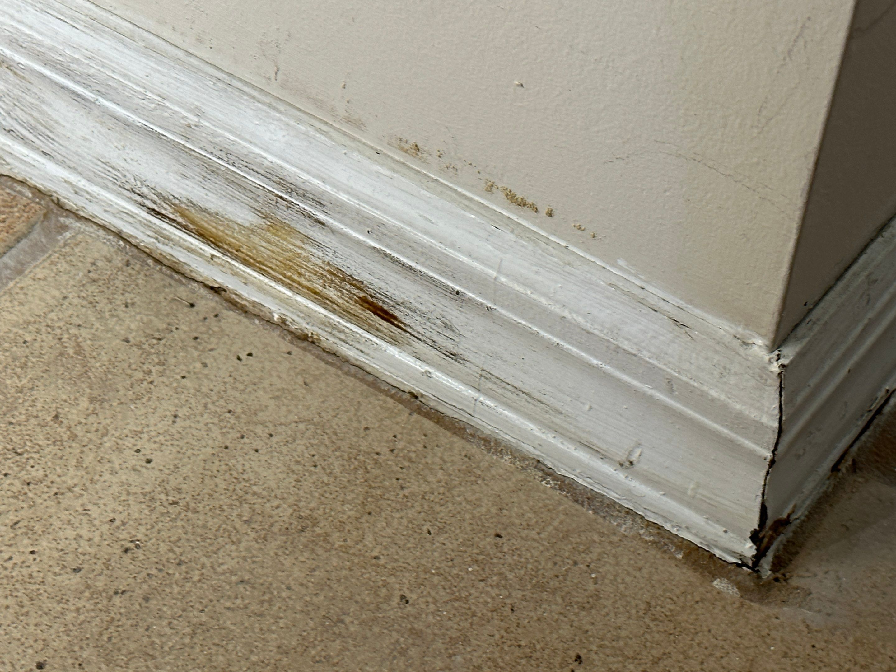 Water Damage Claim in Pembroke Pines by FLAPA & KeyStone