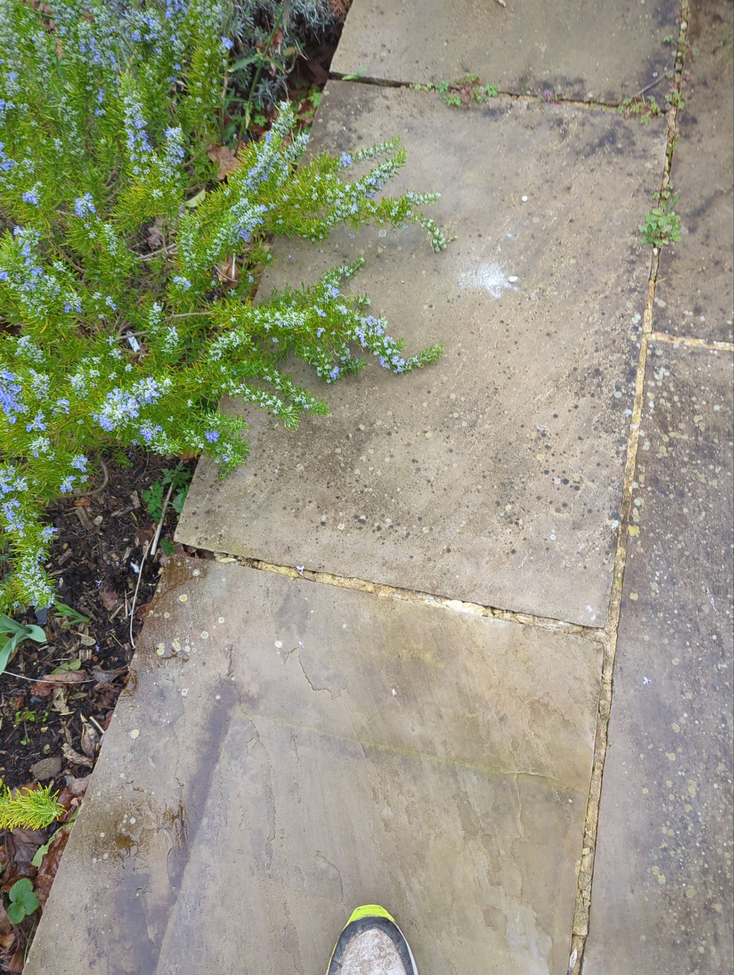 Patio Area Spring Clean using Mosmatic Flat Surface Cleaner by Ges Exterior Cleaning ltd
