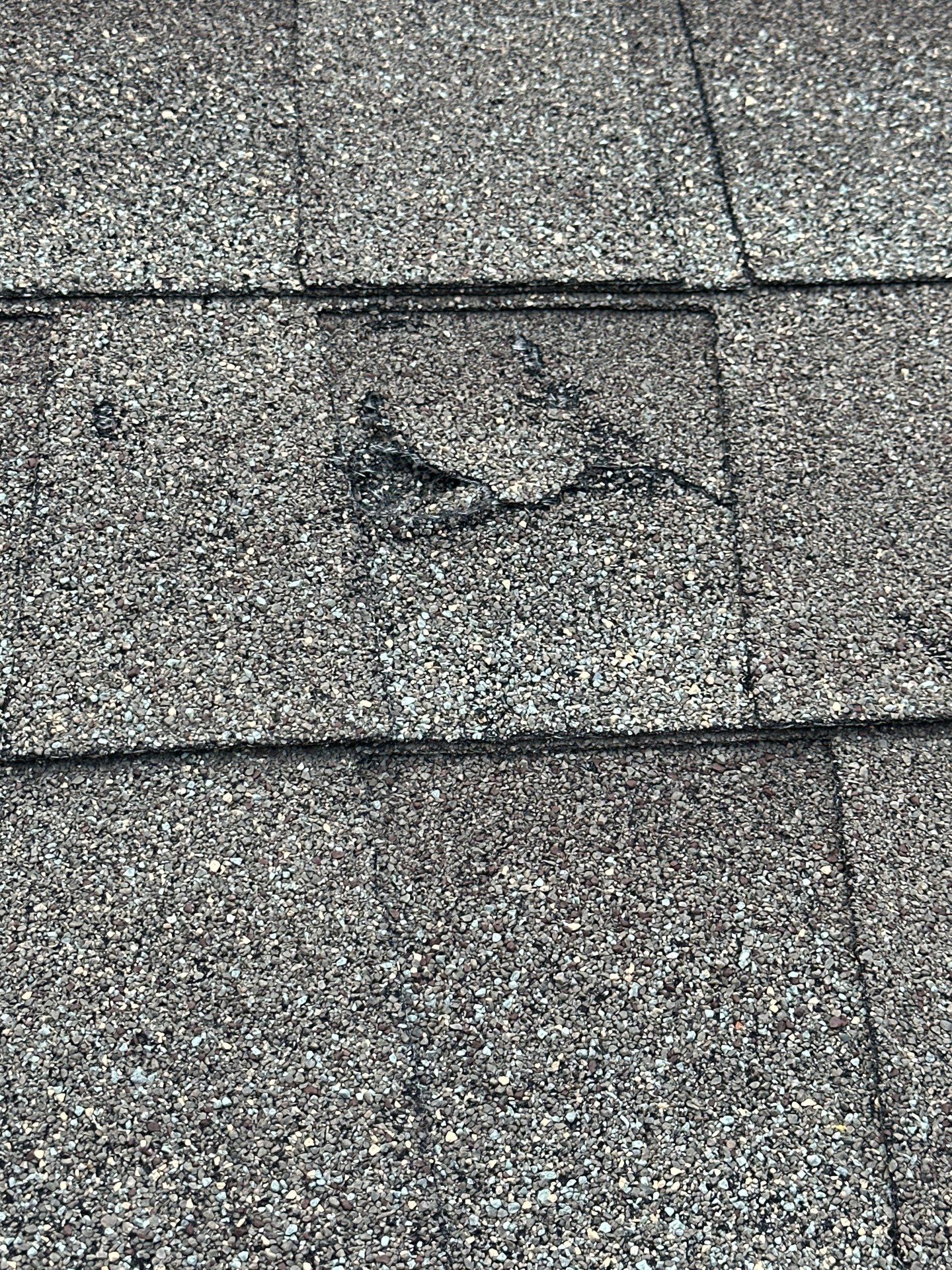 Project in Richardson by Rhino Roofing and General Contracting, LLC