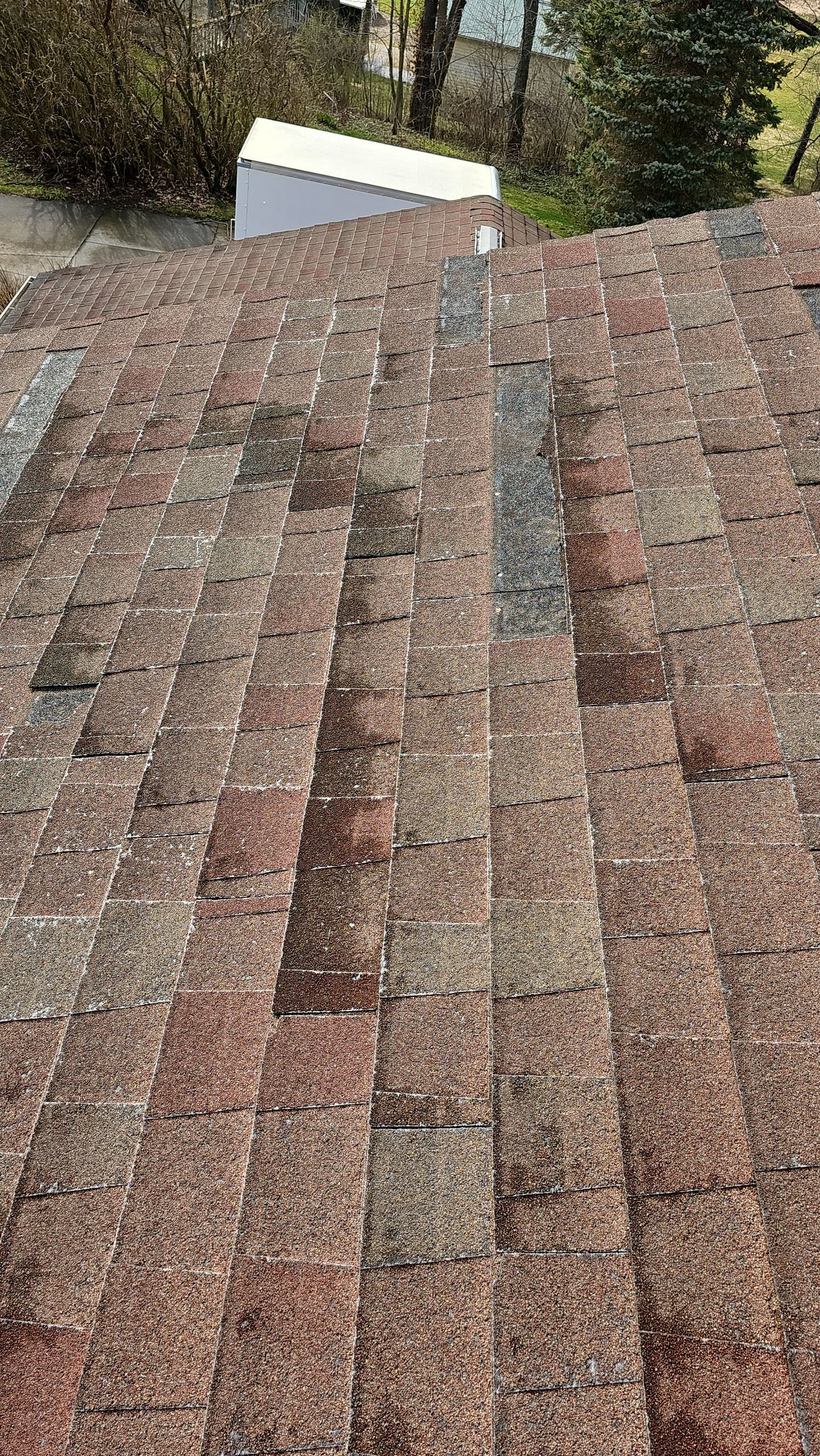Atlas Pinnacle, Color, Heatherblend, Drip Edge, Color, Wicker by Eagle Eye Roofing